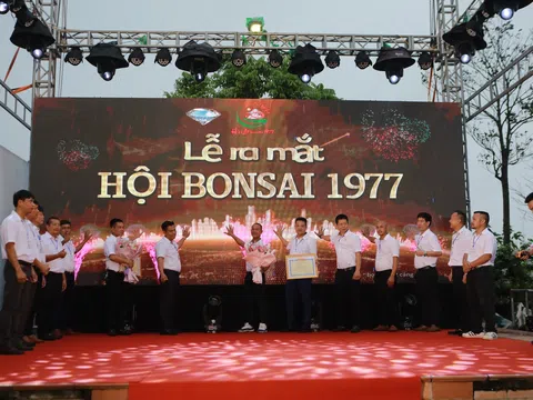 Ra mắt Hội Bonsai 1977 và khai mạc Triển lãm Cây cảnh nghệ thuật, bể đá cổ năm 2024