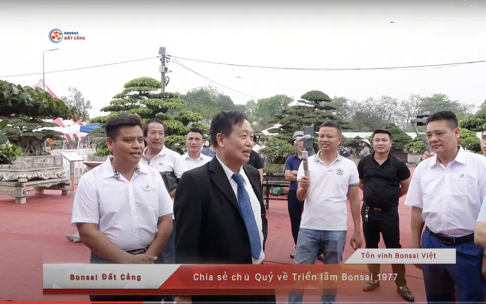 Giáo sư Trần Duy Quý chia sẻ về cây cảnh nghệ thuật trên kênh Bonsai Đất Cảng