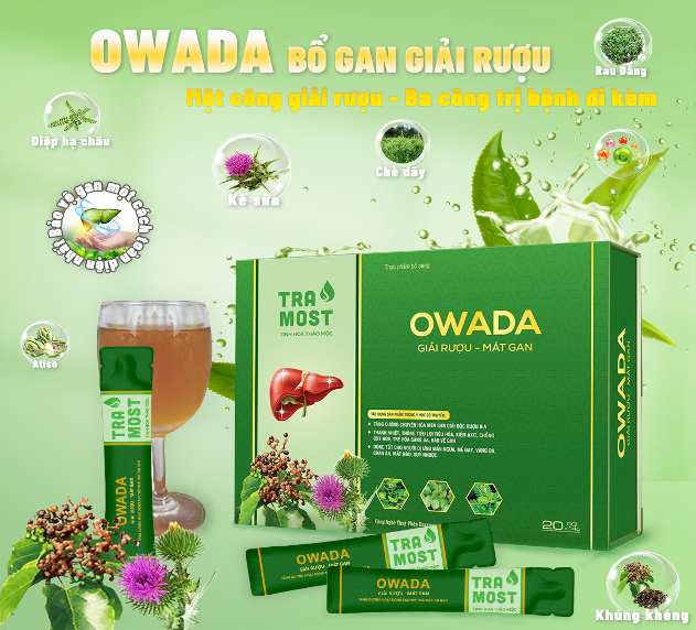 owada-1-1724838738.png