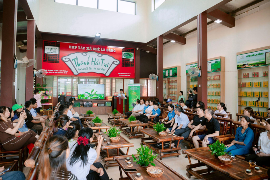 thai-nguyen2-1751421166.png