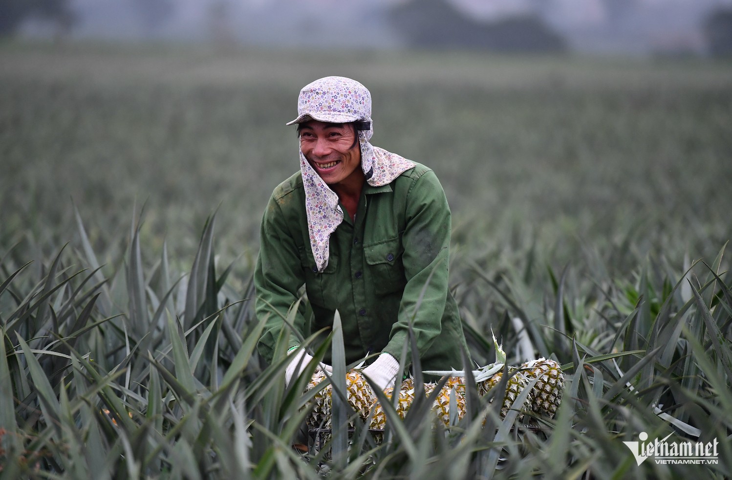coffee-rice-and-durian-drive-vietnams-agricultural-export-boom-b897f3b6b5134b8985203a1609cd96d7-82590-1755597884.png