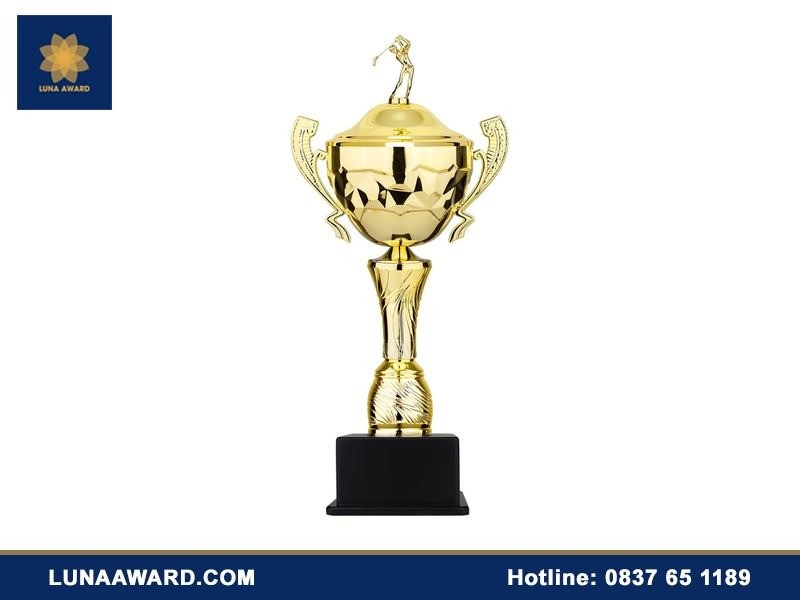 luna-award-vietnam-1-1785125361.jpg