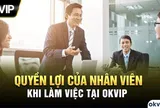 OKVIP - Nơi làm việc lý tưởng cho nhân viên với nhiều quyền lợi hấp dẫn