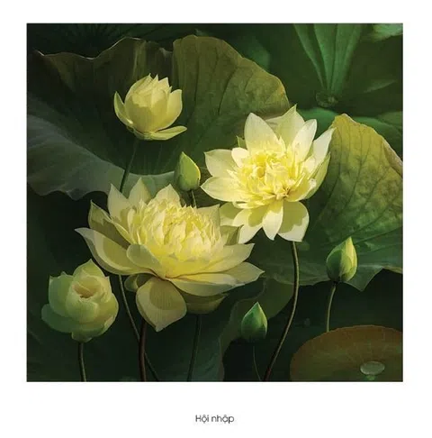 NSNA Hoàng Bích Vân lan tỏa vẻ đẹp tinh thần Việt qua “Tình sen”