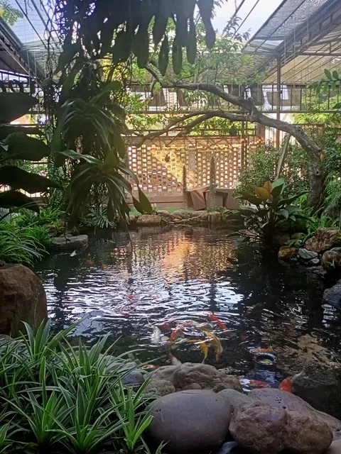 Chiều buồn COVID19