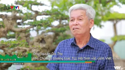 Vườn cây cảnh trên sân thượng của Nghệ nhân Nguyễn Gia Thọ