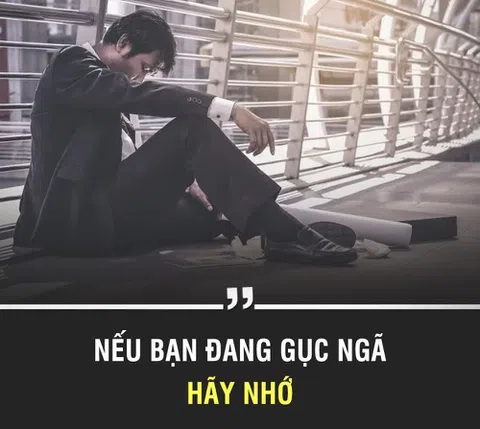 Lời hay ý đẹp: Khi bạn gục ngã hãy nhớ tới điều này