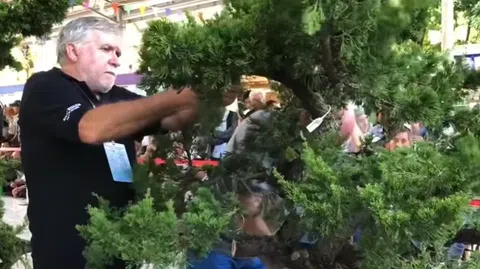 Nghệ nhân Quốc tế trình diễn tạo tác cây cảnh tại ABFF 2019