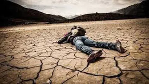 Cuộc chiến sinh tồn - Cách sống sót trong rừng nhiệt đới đầy rắn rết