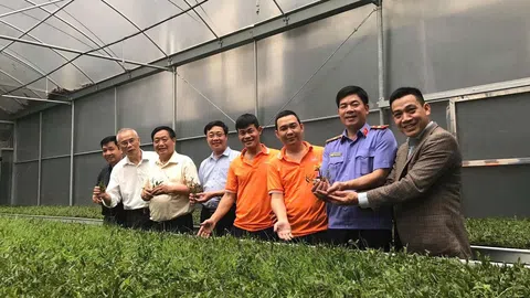 Phóng sự chào mừng Đại hội khóa IV (nhiệm kỳ 2025 – 2030) của Hội Khoa học Phát triển Nông thôn Việt Nam