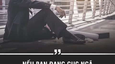 Lời hay ý đẹp: Khi bạn gục ngã hãy nhớ tới điều này