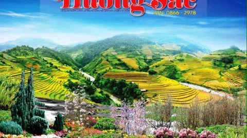 Ca khúc Việt Nam Hương Sắc