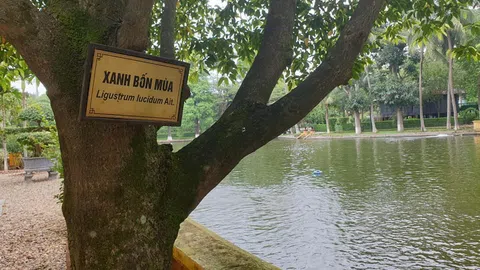 Hưởng ứng Đề án trồng mới một tỷ cây xanh của Chính phủ gắn với phong trào Tết trồng cây