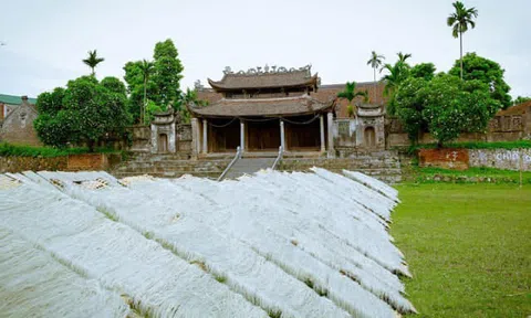 Phát triển ngành nghề nông thôn: Khơi nguồn mạch sống di sản, chuyển đổi số và tầm nhìn chiến lược phát triển bền vững
