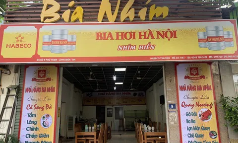 Bia Nhím - Một địa điểm lý tưởng tín đồ bia hơi không nên bỏ qua