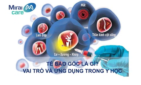 Liệu pháp tế bào gốc và cơ hội phục hồi sức khỏe tự nhiên