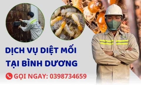 Diệt Mối Minh Long - Địa chỉ diệt mối uy tín tại Bình Dương