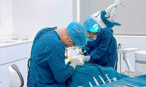 Trồng răng Implant tại Vindental Đà Lạt: Giải pháp hoàn hảo cho hàm răng khỏe đẹp