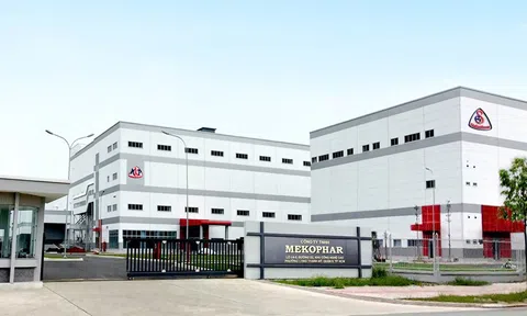 Ngân hàng tế bào gốc MekoStem –  Vì sức khỏe của con bạn, gia đình bạn và cộng đồng 