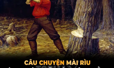 Bài học từ những thanh niên trong rừng: Đốn củi phải biết mài rìu!
