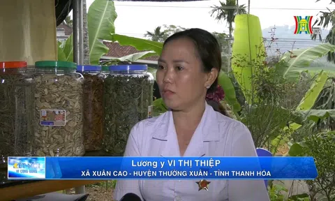 Lương y Vi Thị Thiệp - Người tâm huyết và phát triển y học truyền thống