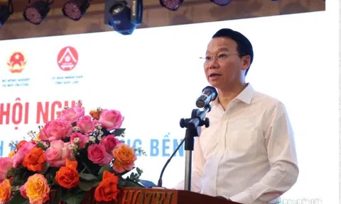 Thúc đẩy phát triển hiệu quả, bền vững ngành sầu riêng Việt Nam