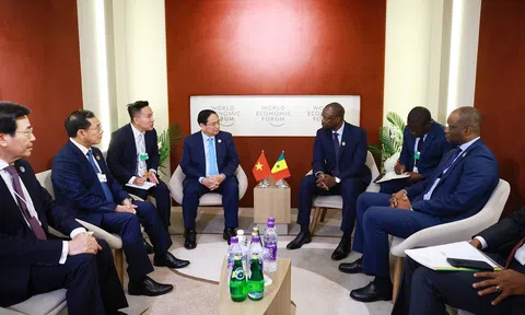 Thấy gì về hoạt động ngoại giao nông nghiệp từ cuộc gặp giữa thủ tướng Phạm Minh Chính và thủ tướng Senegal bên lề WEF 2025