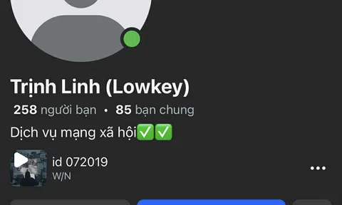 Trịnh Linh - Một Trong Những Cái Tên Nổi Bật Trong Giới Trẻ Làm Dịch Vụ Mạng Xã Hội Hiện Nay