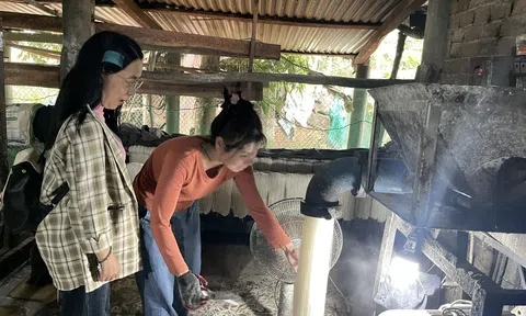 Bún khô xứ Quảng – Tinh hoa từ văn hóa lúa nước