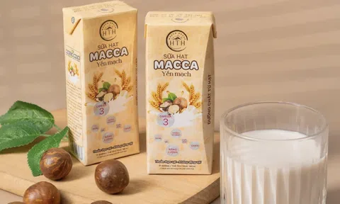 Makka Milk – lựa chọn sữa hạt phù hợp với lối sống lành mạnh hiện đại