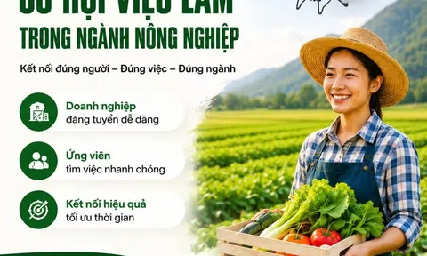 AGJOB – Trang Web Tuyển Dụng Việc Làm Nông Nghiệp