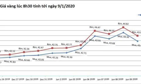 Giá vàng hôm nay 9/1: Vừa trên đỉnh cao 7 năm, vàng 9999, vàng SJC giảm luôn 1 triệu đồng/lượng
