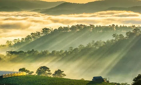 Truyện ngắn "Phố núi mù sương"