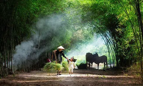 TỤC NGỮ VỀ ĐẤT (VIỆT – ANH)