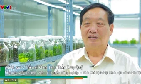 GS. TSKH Trần Duy Quý nói về giá trị dược liệu của một số lan rừng Việt Nam