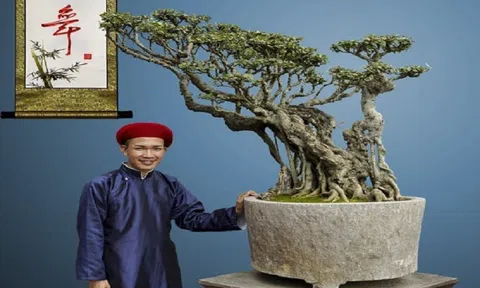 Độc đáo tác phẩm Si đỏ Phượng Vũ của Nghệ nhân Vũ Trọng Khoái