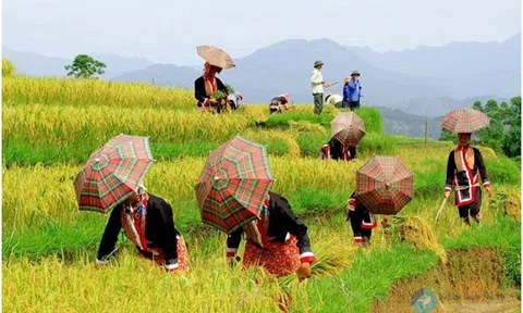Du lịch Bình Liêu Cột mốc biên giới, cửa khẩu và 4 mùa hoa
