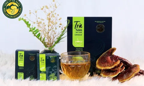 Trà nấm lim xanh: Thức uống tăng cường hệ miễn dịch mùa Covid-19