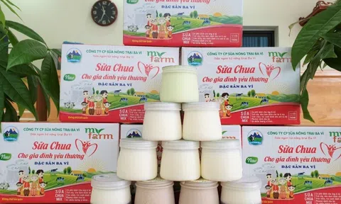 Hà Nội đồng loạt triển khai nhiều giải pháp để người dân sắm lương thực thực phẩm thiết yếu tại nhà