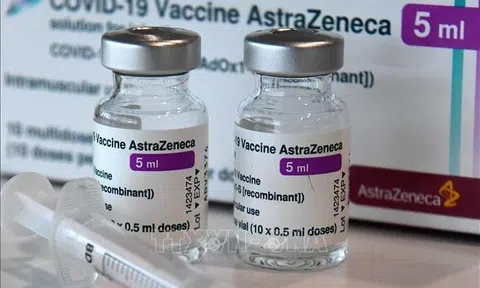 Italia tài trợ cho Việt Nam 801.600 liều vaccine Astra Zeneca