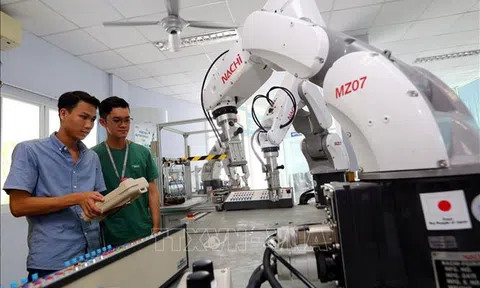 Ngành công nghệ thông tin vẫn có nhu cầu cao về nhân lực