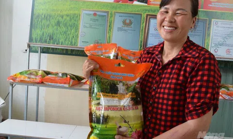 Gạo chất lượng Khu Cháy của HTX Đoàn Kết: Sản phẩm OCOP được người tiêu dùng tín nhiệm