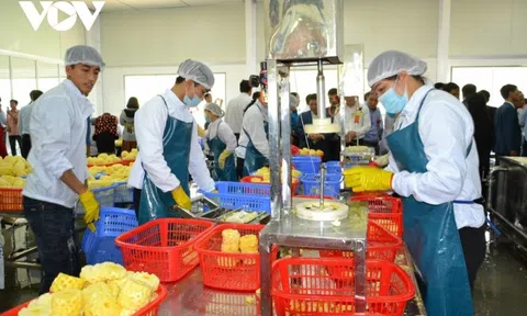 Doanh nghiệp chủ động, sáng tạo để vượt qua khó khăn