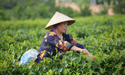 Xã Khánh Thượng (Ba Vì): Tập trung phòng chống dịch, xây dựng Nông thôn mới