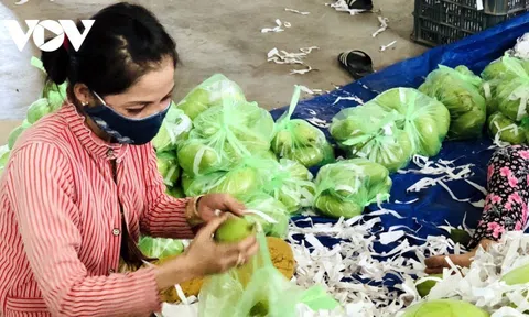 Đa dạng combo sản phẩm thiết yếu cho người dân TP.HCM