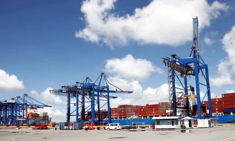 Phục hồi chuỗi cung ứng cần sự liên kết thống nhất