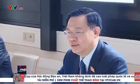 Thời Sự 19h VTV1 ngày 8/9 | Tin Covid 19 mới nhất | Dự báo thời tiết hôm nay