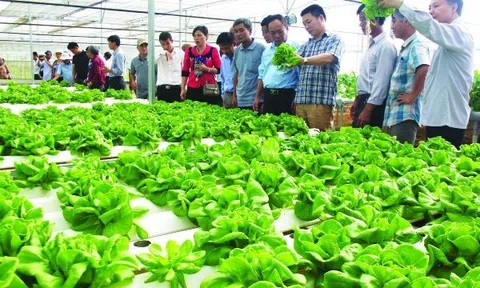 HƯỚNG TỚI NÔNG NGHIỆP SINH THÁI, NÔNG THÔN HIỆN ĐẠI, NÔNG DÂN CHUYÊN NGHIỆP, VĂN MINH