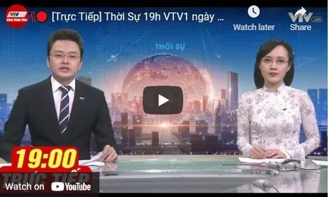 Thời Sự 19h VTV1 ngày 9/9 | Tin Covid 19 mới nhất | Dự báo thời tiết hôm nay