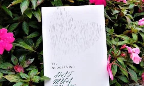 Những quả thơ của Ngọc Lê Ninh